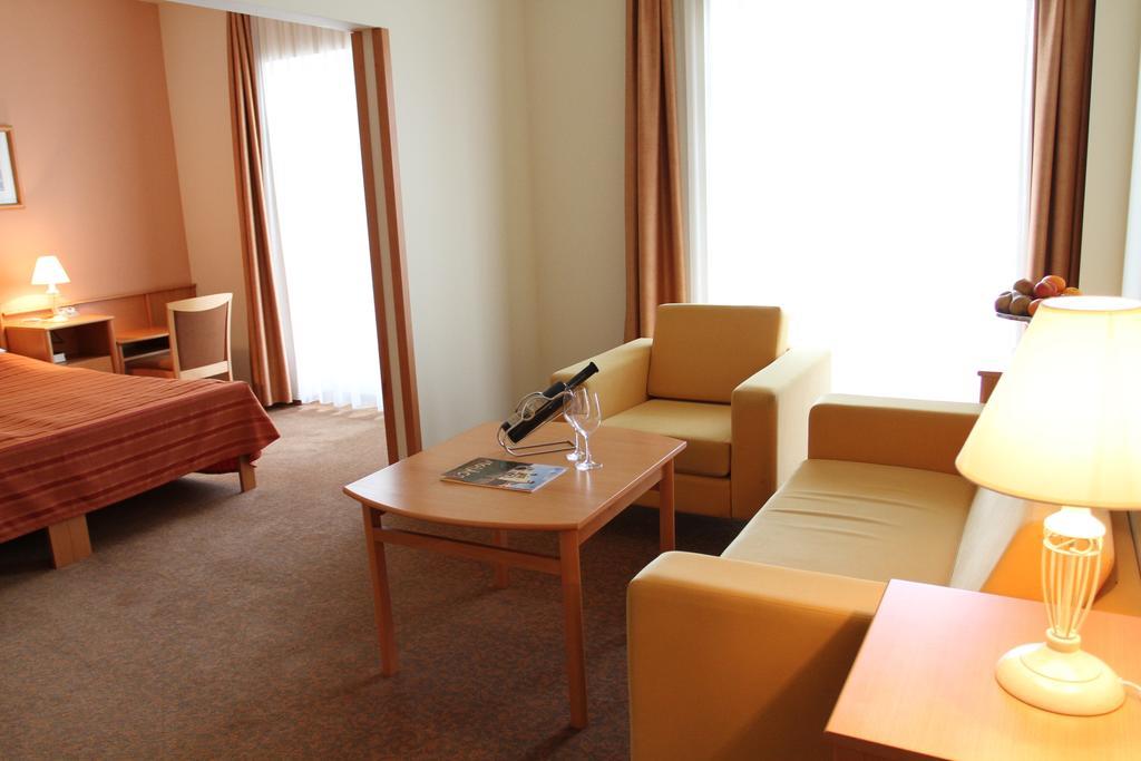 Szent Janos Hotel Mohács Oda fotoğraf