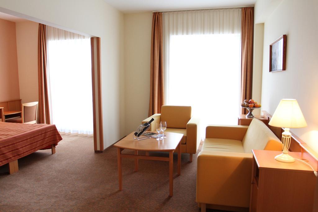 Szent Janos Hotel Mohács Oda fotoğraf